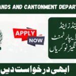 MLC Jobs 2024