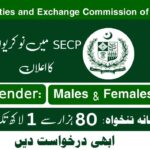 SECP Jobs 2024